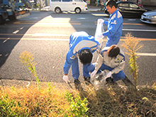 板橋クリーン作戦への参加